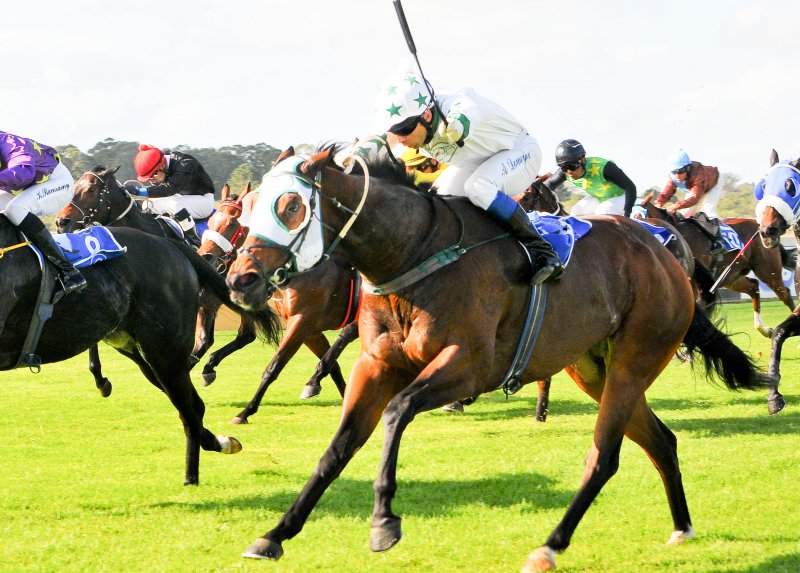 Fairview Racecourse - Live Horseracing