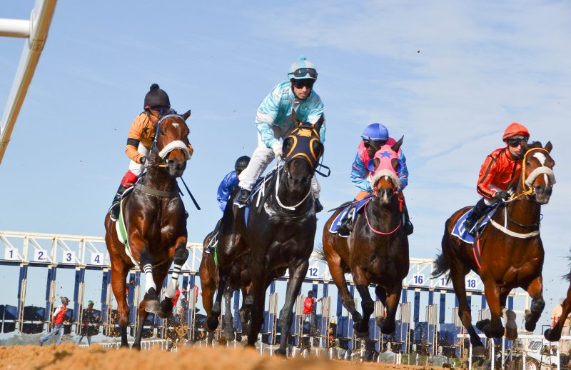 Fairview Racecourse - Live Horseracing