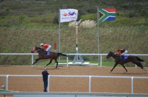 FAIRVIEW RACECOURSE ALL SET FOR THE FESTIVAL OF RACING!