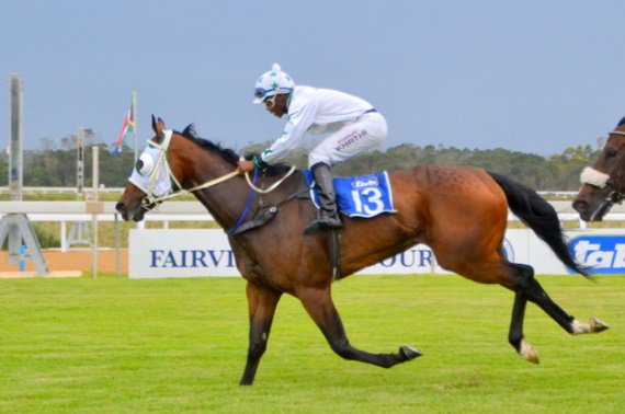 Fairview Racecourse Horseracing