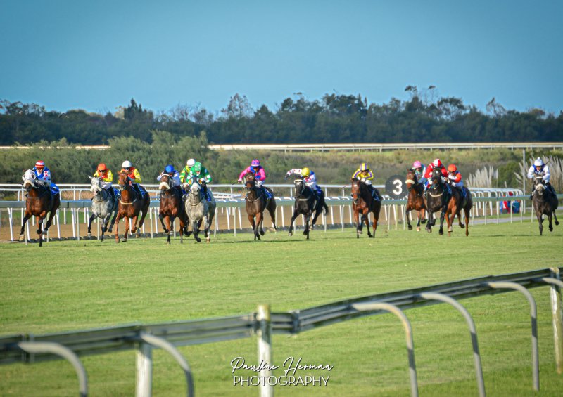 Fairview Racecourse - Horseracing 