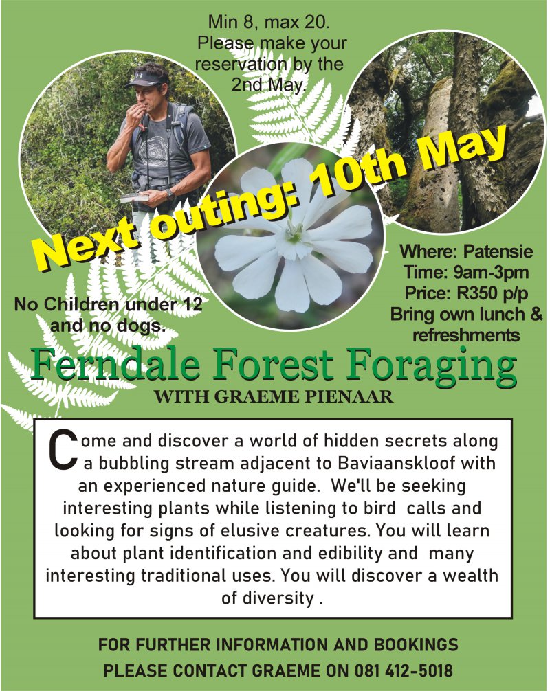 Ferndale Forest Foraging