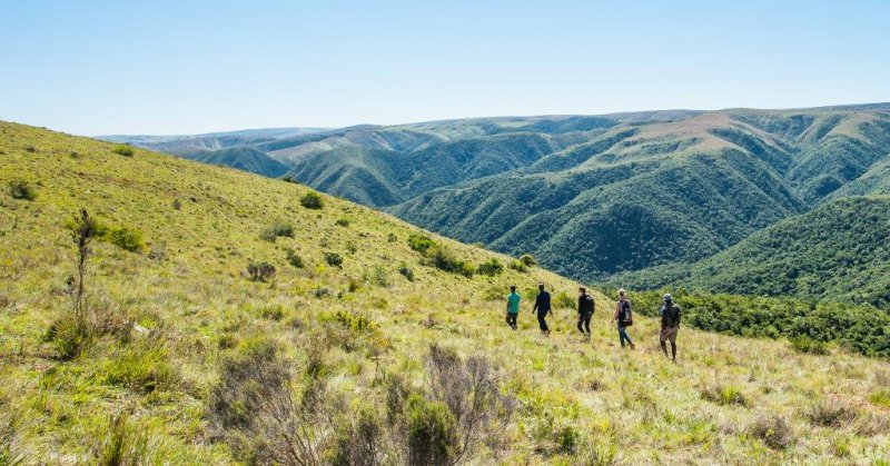 FREE ENTRY TO ADDO ELEPHANT NATIONAL PARK AND OTHERS