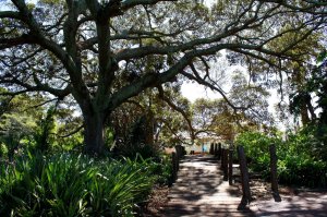 Free guided walk of St Georges Park