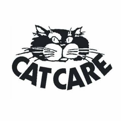 Fun Charity Dogwalk for Cat Care