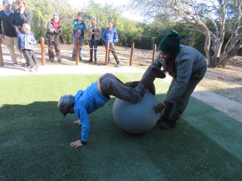 FUN HOLIDAY PROGRAMME AT ADDO ELEPHANT NATIONAL PARK
