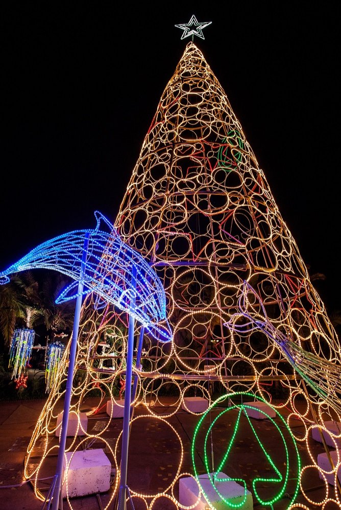 Giant Christmas tree to light up PE’s beachfront