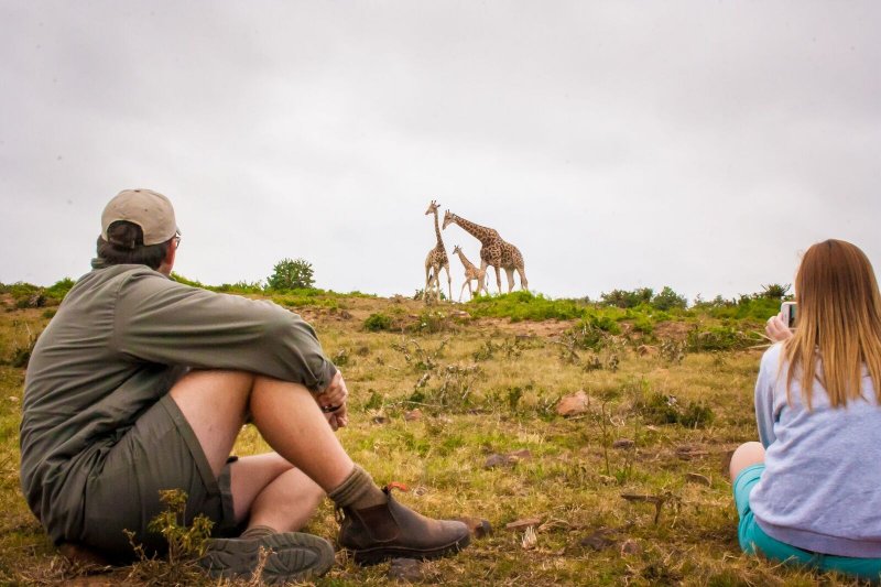 Giraffe Walking Safaris -2