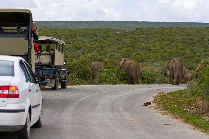 GUESTS TO PARKS, CAMPING AND ACTIVITY FIGURES UP IN SANPARKS’ FRONTIER REGION PARKS