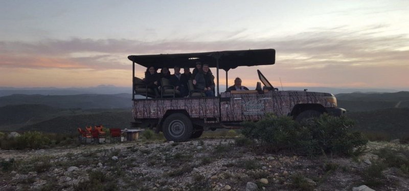 Guided Game Drive