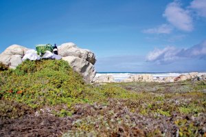 Guided Walk in Maitlands Nature Reserve 