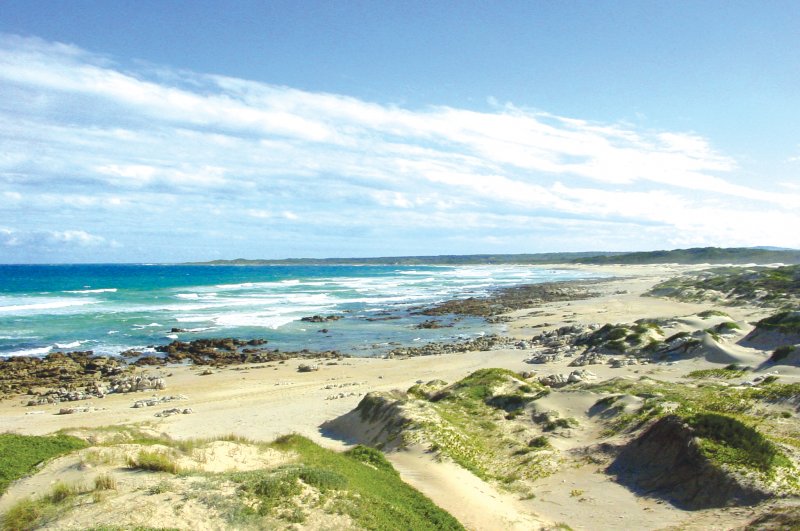 Guided Walk of the Roseate Tern trail-2