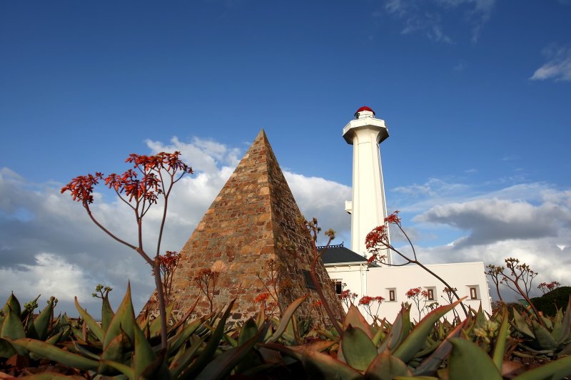 Half Day Port Elizabeth Guided City Tour