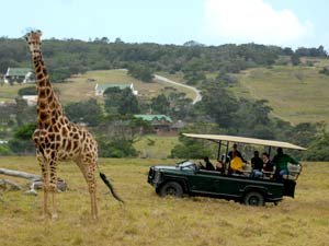 HAPPY INTERNATIONAL TOURIST GUIDE DAY