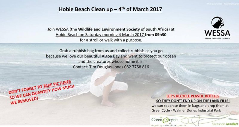 Hobie beach clean-up