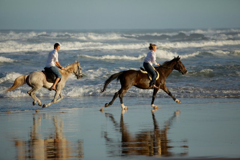 Sardinia Bay Bush and Beach Horse Riding Experience