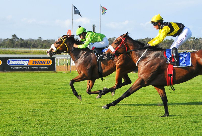 Horseracing - Fairview Racecourse