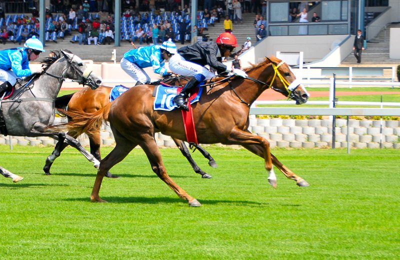 Horseracing - Fairview Racecourse