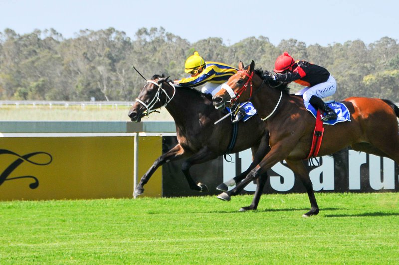 Horseracing - Fairview Racecourse