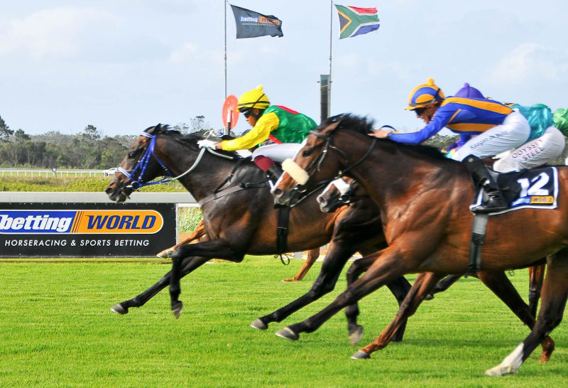 Horseracing - Fairview Racecourse