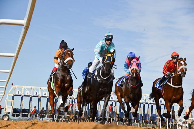Horseracing - Fairview Racecourse 