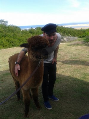 ABSA KIRKWOOD WILDSFEES 2014 - Hug an Alpaca at the Wild 13