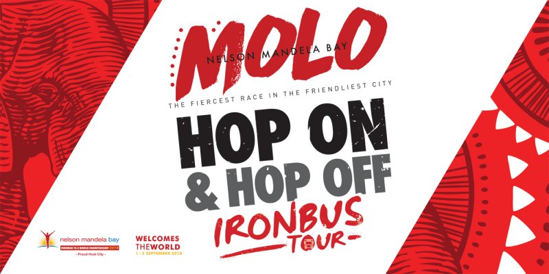 Ironbus City Sightseeing Hop On Hop Off Bus Tours