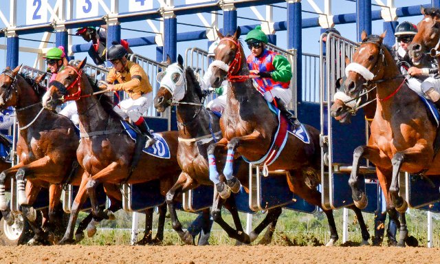 Live Thoroughbred Horseracing at Fairview Racecourse 