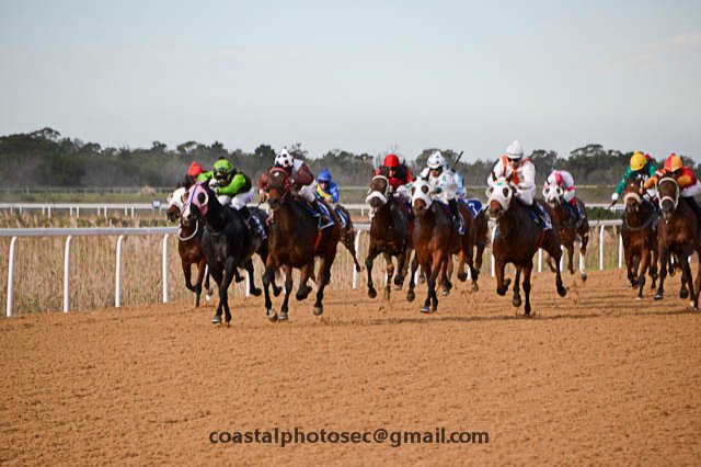 Live thoroughbred horseracing at Fairview Racecourse 