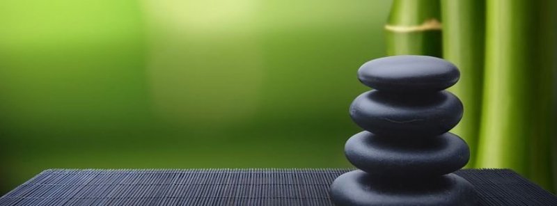Meditation Session with yogic monk Dada Mahaprajinananda