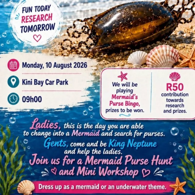 Mermaid Purse Hunt & Mini Workshop