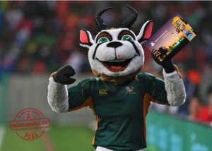 NESLON MANDELA BAY IRB 7’s PASS