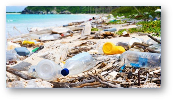 New Brighton Beach Cleanup