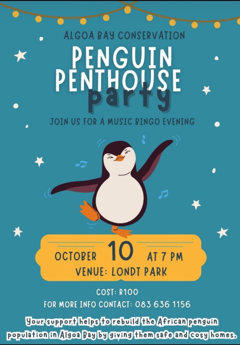 Penguin Penthouse Pary