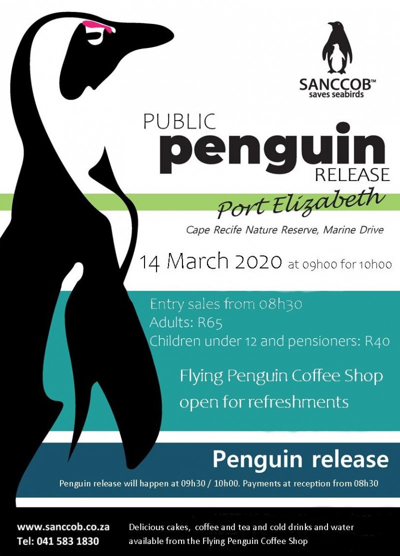 Penguin Release