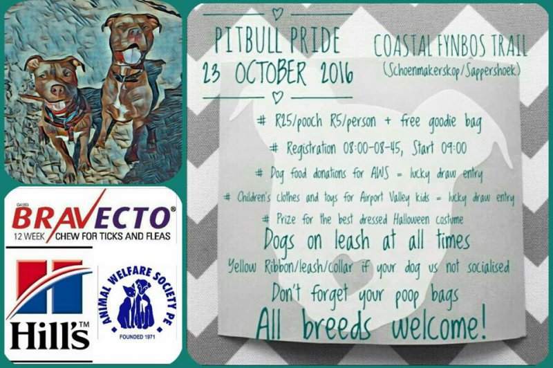 Pitbull Pride walk -- Port Elizabeth