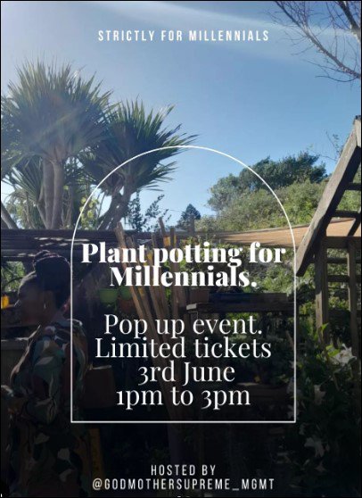 Plant potting for millennials