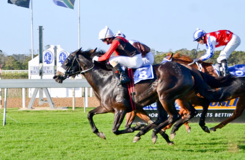 News Article - PORT ELIZABETHâ€™S MOST PRESTIGIOUS RACE - Nelson