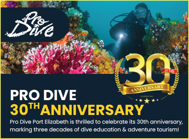 Pro Dive Port Elizabeth – 30 Years of Ocean Adventure! 