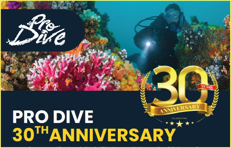 Pro Dive Port Elizabeth – 30 Years of Ocean Adventure! 