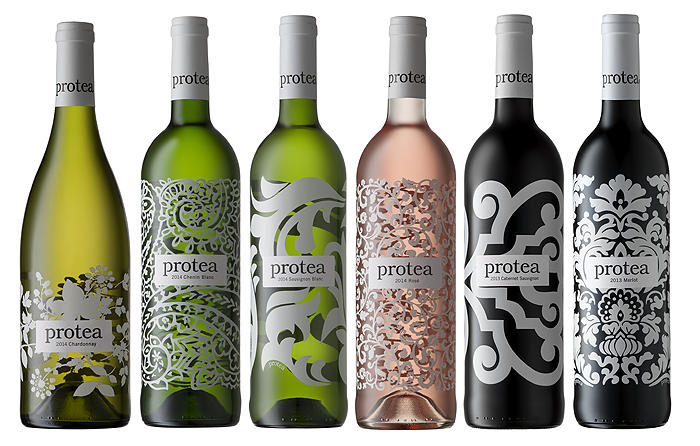 Protea Tasting - February Month