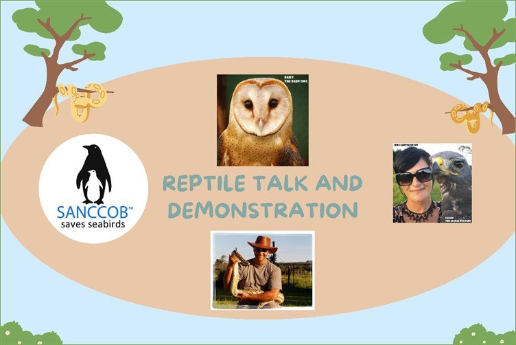 Reptile Talk and Demonstration.
