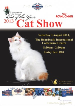 SACC CAT OF THE YEAR