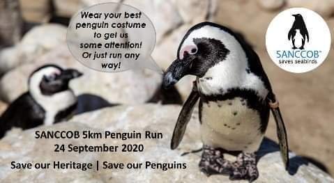 SANCCOB 5km Virtual Penguin Run