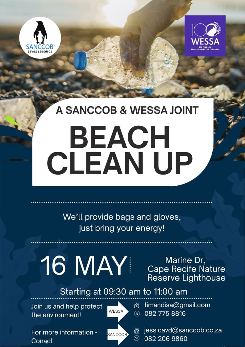SANCCOB & WESSA - Beach Clean Up!