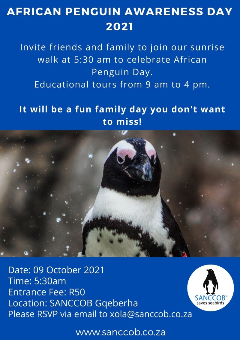 SANCCOB African Penguin Awareness Day