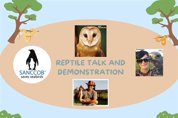 SANCCOB: Reptile Talk and Demonstration