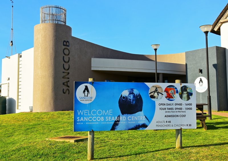 SANCCOB Tours