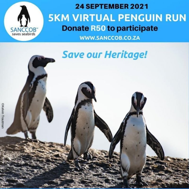 SANCCOB Virtual Run 2021