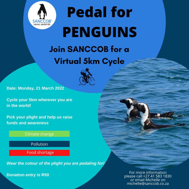 SANCCOB's Pedal for Penguins event